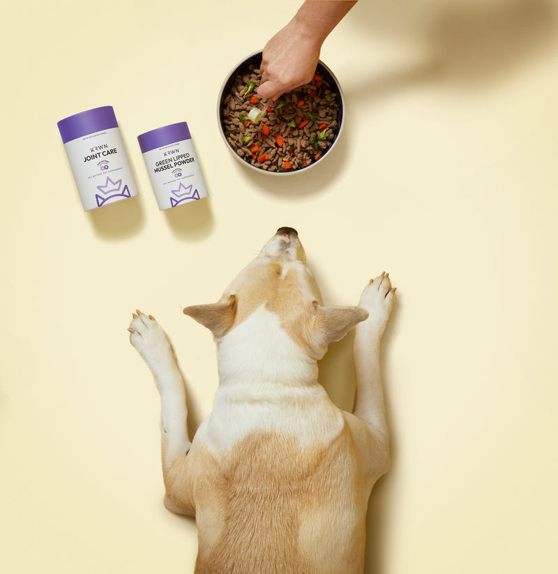 Dog-Overhead_800x1400