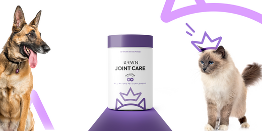 Say Goodbye to Stiffness with Joint Care! 🦴