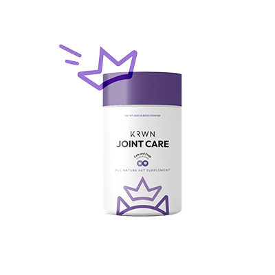 Supplement
